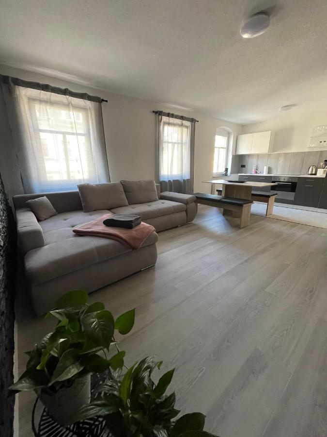 Apartment Buergerstrasse 47 60Q.M Дрезден Екстериор снимка